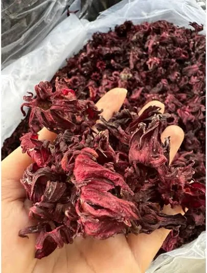 hoa_atiso_anh_5 hoa_atiso_anh_5